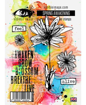 Visible Image Spring Awakening A6 Stamp Set (BC2353)