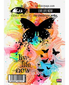 Visible Image Live Life Now A6 Stamp Set (DK2356)
