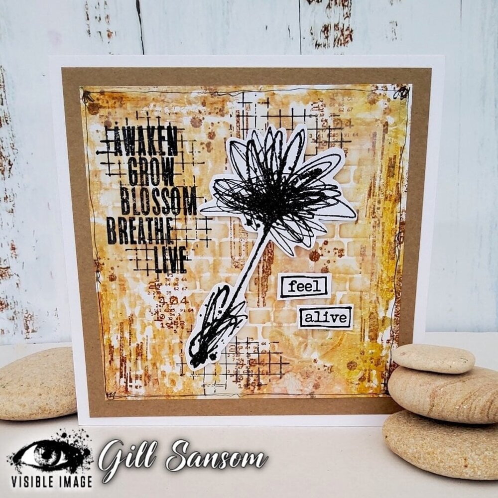 Visible Image Transmission Glitch A6 Stamp Set (CW2359) Visible Image Transmission Glitch A6 Stamp Set (CW2359)