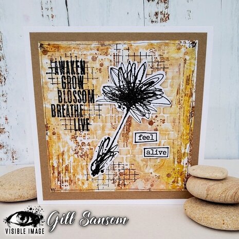 Visible Image Transmission Glitch A6 Stamp Set (CW2359) Visible Image Transmission Glitch A6 Stamp Set (CW2359)