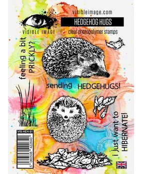 Visible Image Hedgehog Hugs A6 Stamp Set (LG2372) Visible Image Hedgehog Hugs A6 Stamp Set (LG2372)