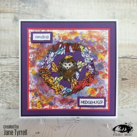 Visible Image Hedgehog Hugs A6 Stamp Set (LG2372) Visible Image Hedgehog Hugs A6 Stamp Set (LG2372)