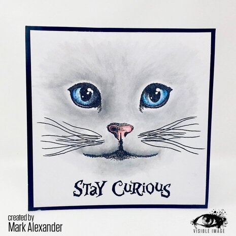 Visible Image Curious Cats A6 Stamp Set (QT2386) Visible Image Curious Cats A6 Stamp Set (QT2386)