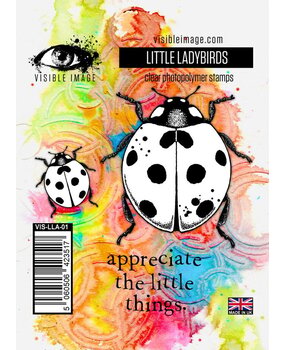 Visible Image Little Ladybirds A7 Stamp Set (ZD2329) Visible Image Little Ladybirds A7 Stamp Set (ZD2329)