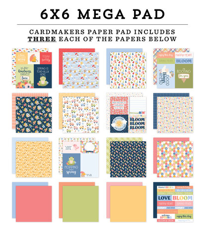 Echo Park Blossoms And Bees 6x6 Inch Mega Pad (BLB413031)