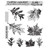 Stampers Anonymous Cling Stamps Falling Leaves (CMS097) Stampers Anonymous Cling Stamps Falling Leaves (CMS097)