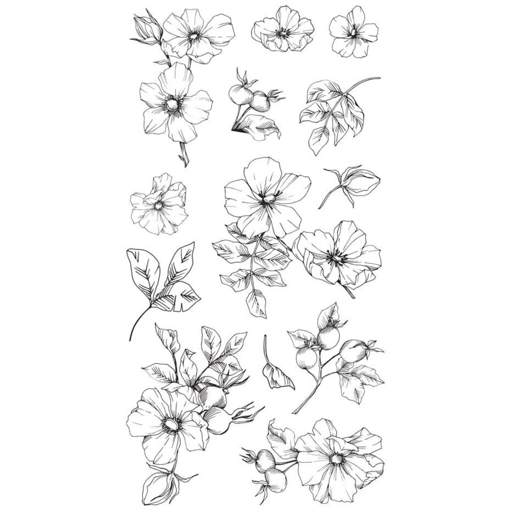 Sizzix Lisa Jones Clear Stamps Wildflower Botanicals (666870)