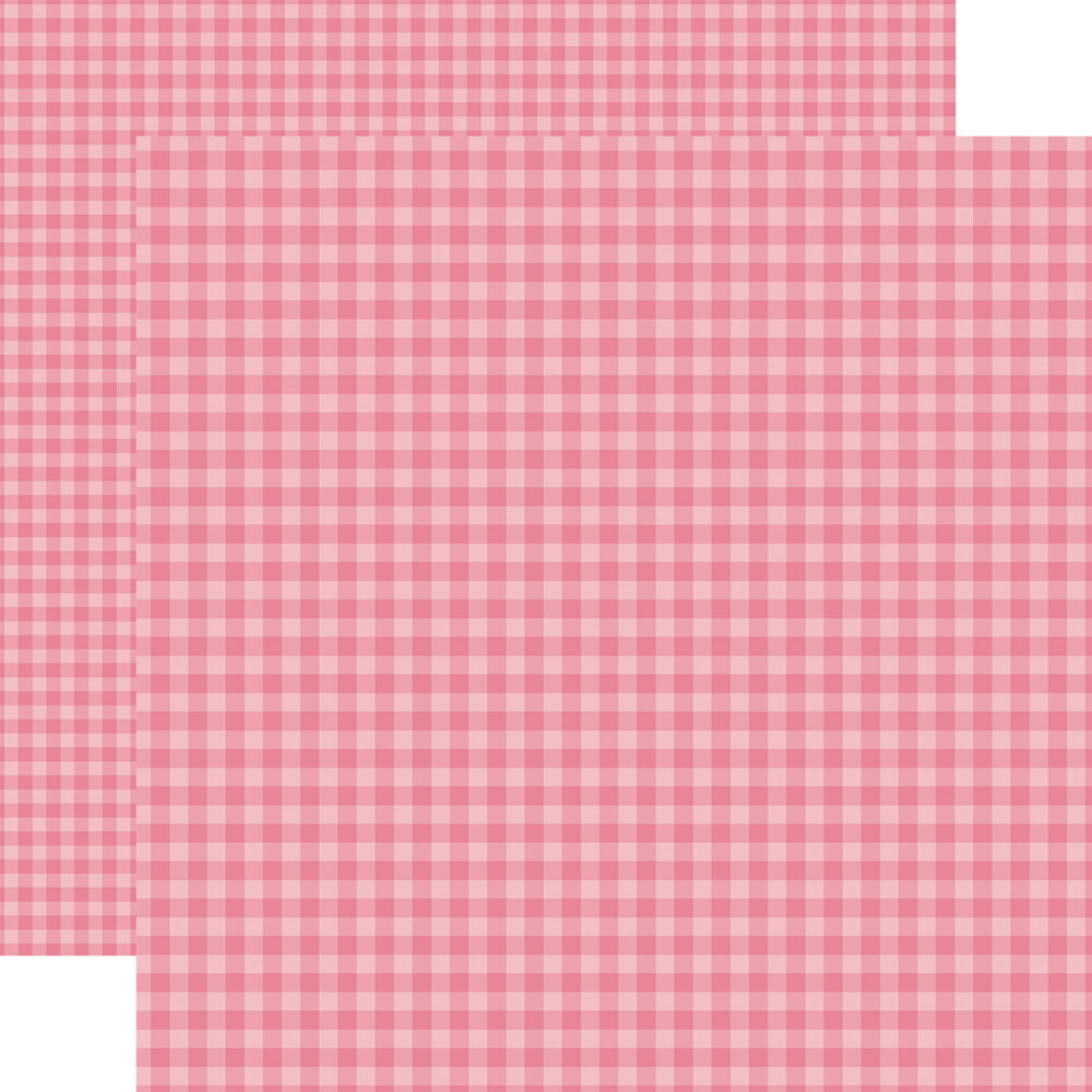 Echo Park Bold Gingham 12x12 Inch Collection Kit (BLG417016)