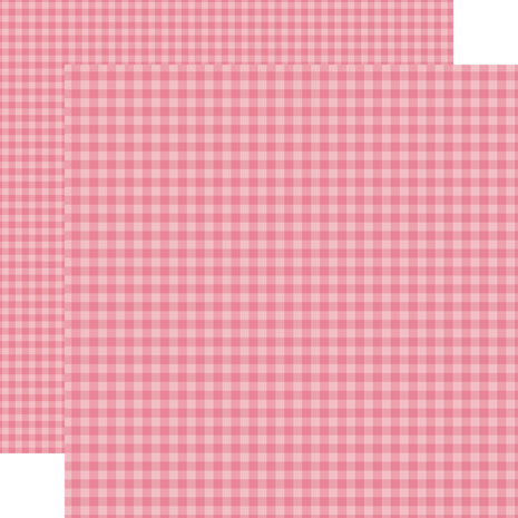 Echo Park Bold Gingham 12x12 Inch Collection Kit (BLG417016)