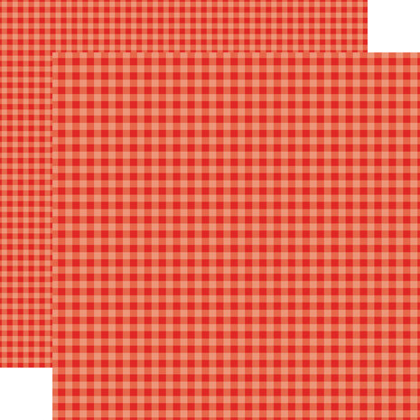 Echo Park Bold Gingham 12x12 Inch Collection Kit (BLG417016)
