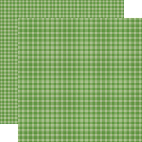 Echo Park Bold Gingham 12x12 Inch Collection Kit (BLG417016)
