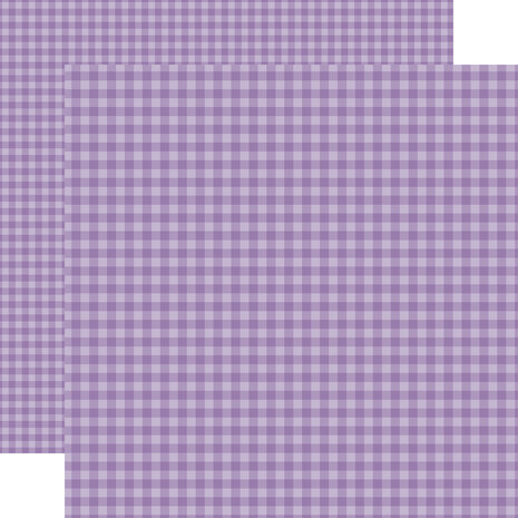 Echo Park Bold Gingham 12x12 Inch Collection Kit (BLG417016)