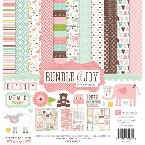 Echo Park Bundle Of Joy Girl 12x12 Inch Collection Kit (BJG45016)
