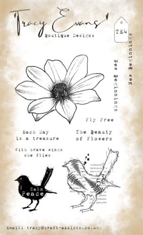 Tracy Evans New Beginnings A6 Clear Stamp (TE004) Tracy Evans New Beginnings A6 Clear Stamp (TE004)