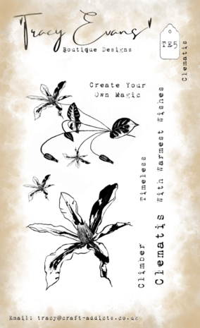Tracy Evans Clematis A6 Clear Stamp (TE005) Tracy Evans Clematis A6 Clear Stamp (TE005)