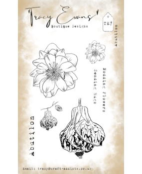 Tracy Evans Abutilon A6 Clear Stamp (TE007) Tracy Evans Abutilon A6 Clear Stamp (TE007)