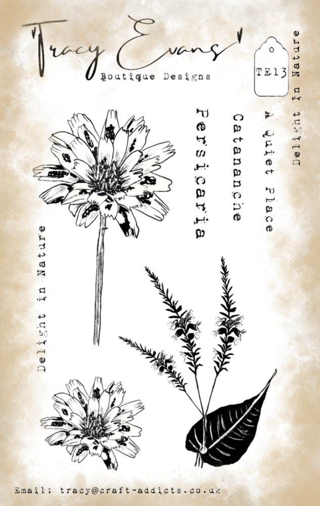 Tracy Evans Delight In Nature A6 Clear Stamp (TE013) Tracy Evans Delight In Nature A6 Clear Stamp (TE013)
