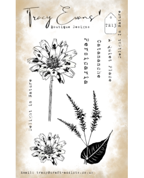 Tracy Evans Delight In Nature A6 Clear Stamp (TE013) Tracy Evans Delight In Nature A6 Clear Stamp (TE013)