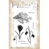 Tracy Evans Nature's Beauty A6 Clear Stamp (TE031)