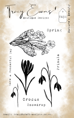 Tracy Evans Nature's Beauty A6 Clear Stamp (TE031) Tracy Evans Nature's Beauty A6 Clear Stamp (TE031)