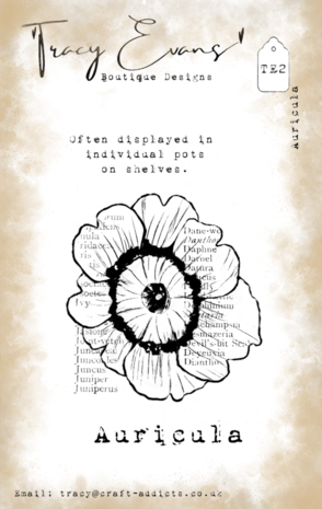 Tracy Evans Auricula A7 Clear Stamp (TE002) Tracy Evans Auricula A7 Clear Stamp (TE002)