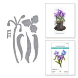 Spellbinders Through the Meadow Spiderwort Dies (S4-1391)