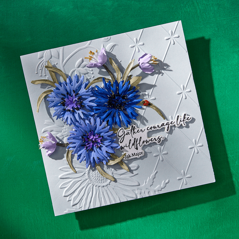 Spellbinders Through the Meadow Die Bundle (BD-0917) Spellbinders Through the Meadow Die Bundle (BD-0917)