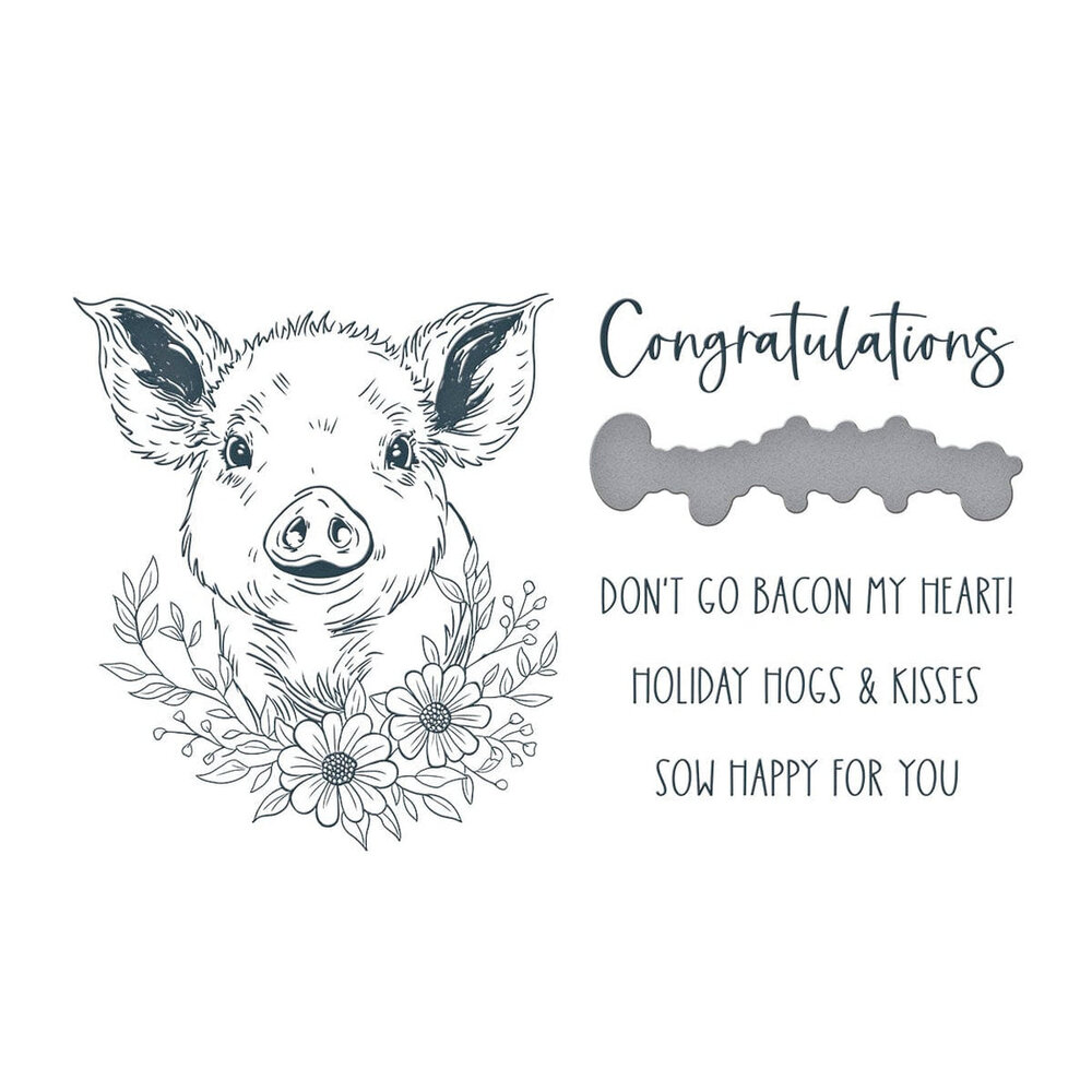 Spellbinders Justine's Farm Daisy BetterPress Plate & Die Set (BP-232) Spellbinders Justine's Farm Daisy BetterPress Plate & Die Set (BP-232)