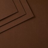 Spellbinders ColorWheel Cardstock 12x12 Inch Truffle (CS-12-144)