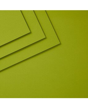 Spellbinders ColorWheel Cardstock 8.5x11 Inch Rainforest (CS-8-119)