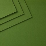 Spellbinders ColorWheel Cardstock 8.5x11 Inch Fern (CS-8-120)