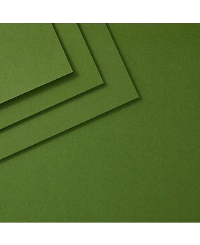 Spellbinders ColorWheel Cardstock 8.5x11 Inch Fern (CS-8-120)