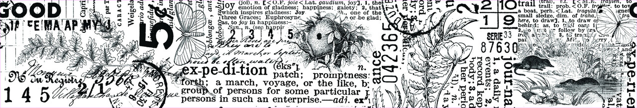 Arden Creative Studio Hidden Creek Journal Kiss-Cut PET Tape (ACSCT0002) Arden Creative Studio Hidden Creek Journal Kiss-Cut PET Tape (ACSCT0002)