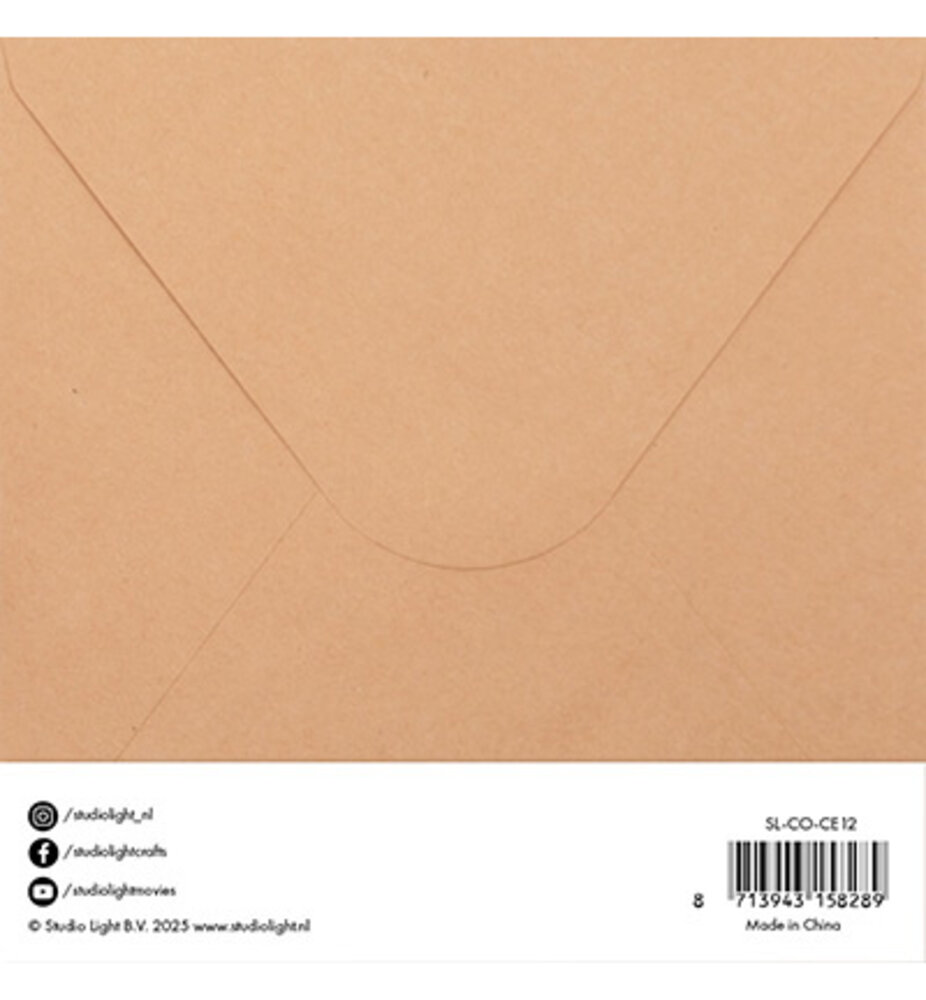 Studio Light Consumables 6x6 Inch Cards & Envelopes Kraft (SL-CO-CE12) Studio Light Consumables 6x6 Inch Cards & Envelopes Kraft (SL-CO-CE12)