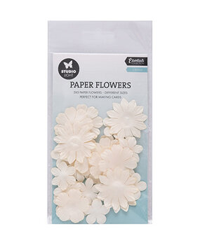 Studio Light Consumables Creme Flowers (SL-CO-FLOW14) Studio Light Consumables Creme Flowers (SL-CO-FLOW14)