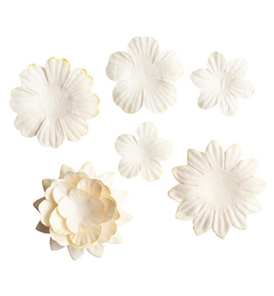 Studio Light Consumables Creme Flowers (SL-CO-FLOW14) Studio Light Consumables Creme Flowers (SL-CO-FLOW14)