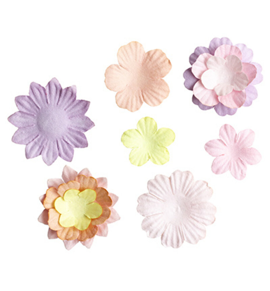 Studio Light Consumables Pastel Flowers (SL-CO-FLOW16) Studio Light Consumables Pastel Flowers (SL-CO-FLOW16)