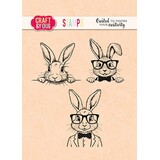 Craft & You Clear Stamp Funny Bunnies (CS048)