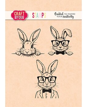 Craft & You Clear Stamp Funny Bunnies (CS048)