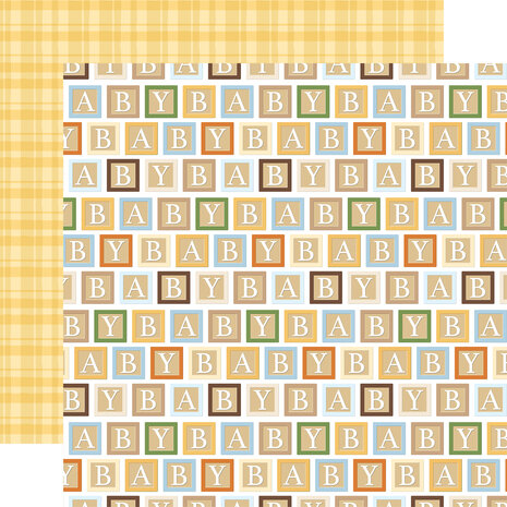 Echo Park Winnie The Pooh Baby 12x12 Inch Collection Kit (WPB442016)