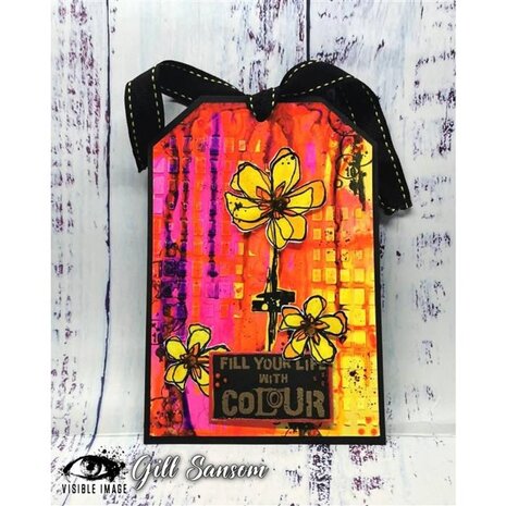 Visible Image Windows 6x6 Inch Stencil (YT9419)