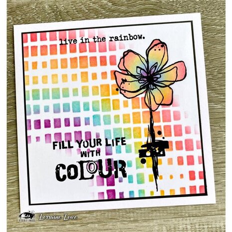 Visible Image Windows 6x6 Inch Stencil (YT9419)