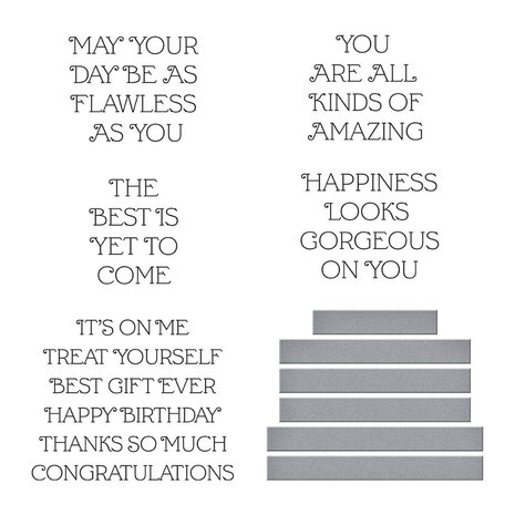 Spellbinders Gorgeous You Flawless Sentiments Press Plate & Die Set (BP-236)