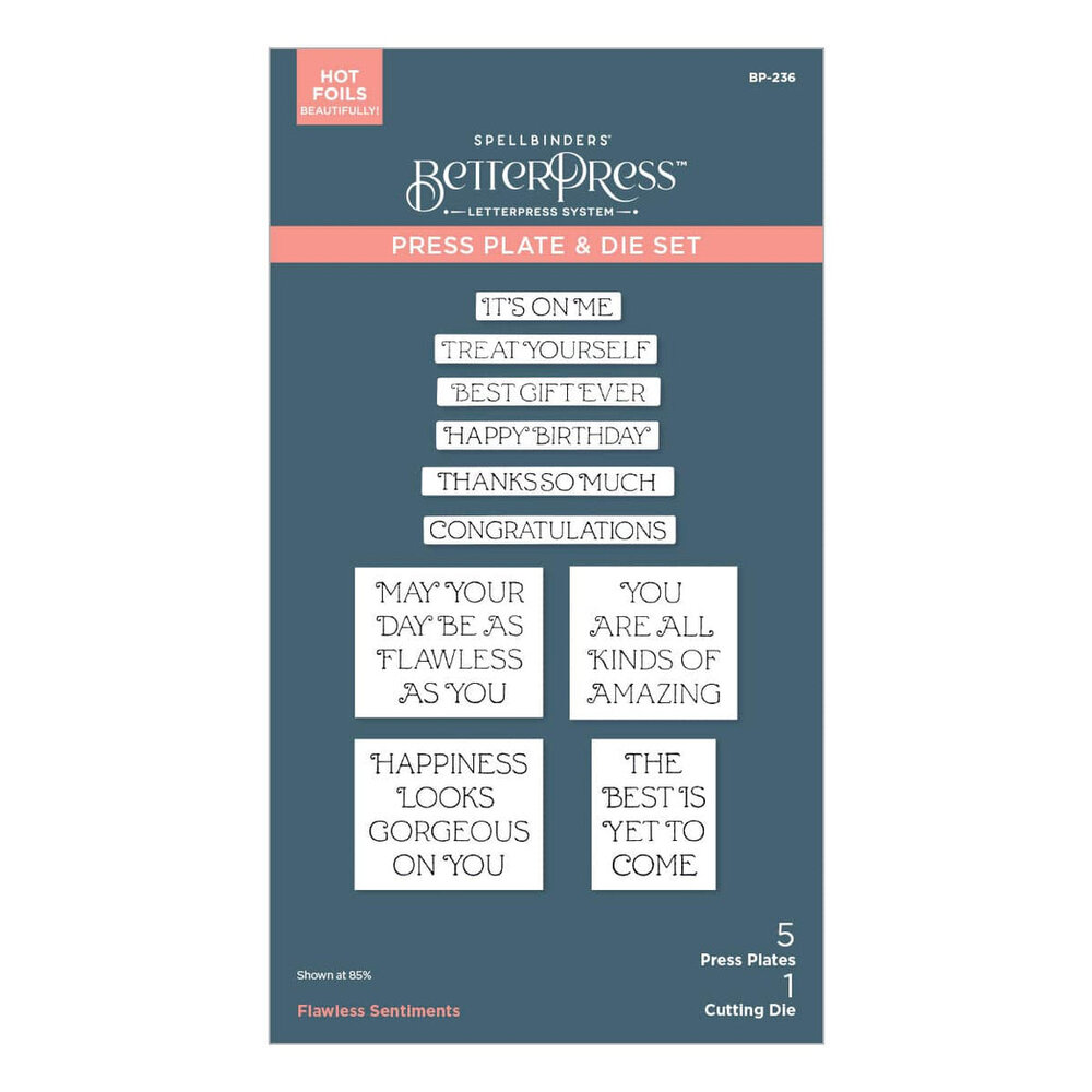 Spellbinders Gorgeous You Flawless Sentiments Press Plate & Die Set (BP-236)