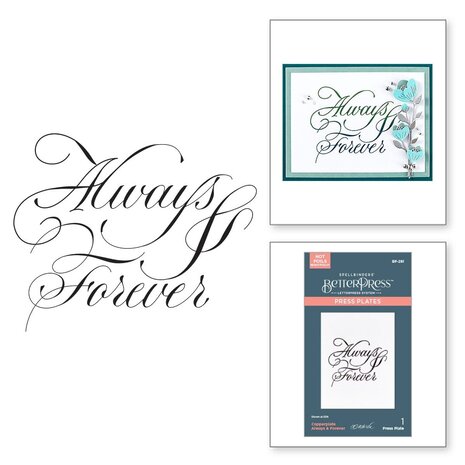 Spellbinders Copperplate On Your Wedding Day Always & Forever BetterPress Plate (BP-281) Spellbinders Copperplate On Your Wedding Day Always & Forever BetterPress Plate (BP-281)