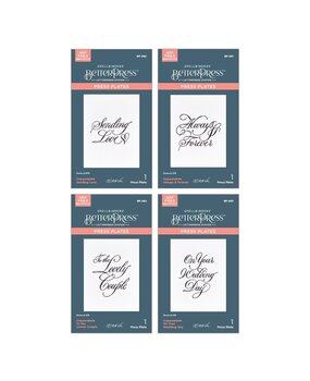 Spellbinders Copperplate On Your Wedding Day Sentiments BetterPress Plates Bundle (BD-0935) Spellbinders Copperplate On Your Wedding Day Sentiments BetterPress Plates Bundle (BD-0935)