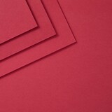 Spellbinders ColorWheel Cardstock A4 Wild Berry (CS-A4-106)