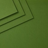 Spellbinders ColorWheel Cardstock A4 Fern (CS-A4-120)