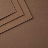 Spellbinders ColorWheel Cardstock A4 Acorn (CS-A4-143)