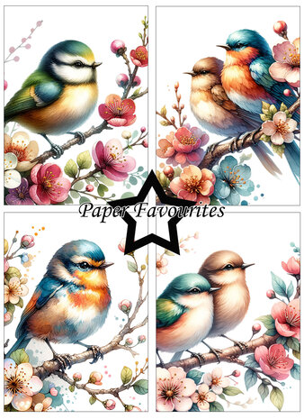 Paper Favourites Birds and Flowers A6 Paper Pad (PFA569)